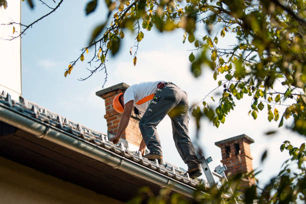 Best Metal Roofing Contractor  in Union Park, FL
