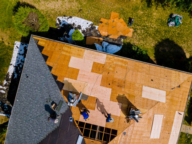 Best Roof Leak Repair  in Union Park, FL
