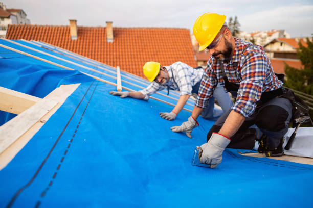 Roof Gutter Cleaning in Union Park, FL