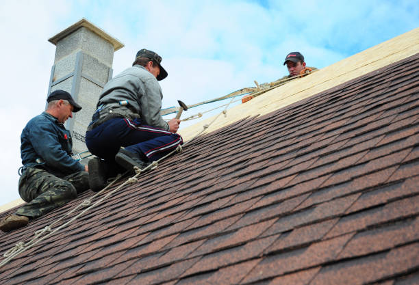 Best Gutter Installation and Roofing  in Union Park, FL